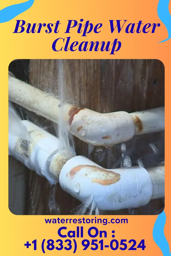 Burst Pipe Water Cleanup in Weston, OH