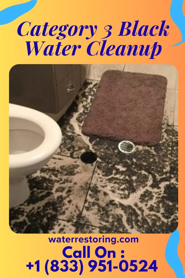 Category 3 Black Water Cleanup in Weston, OH