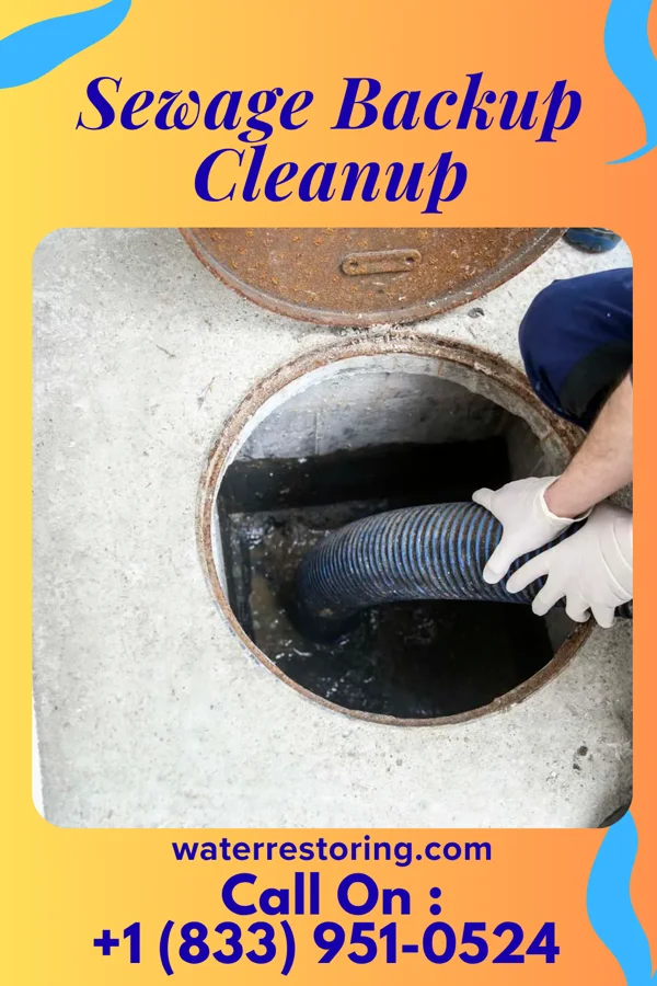 Sewage Backup Cleanup in Weston, OH
