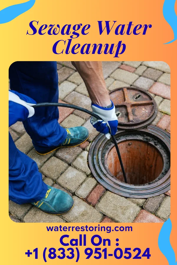 Sewage Water Cleanup in Weston, OH