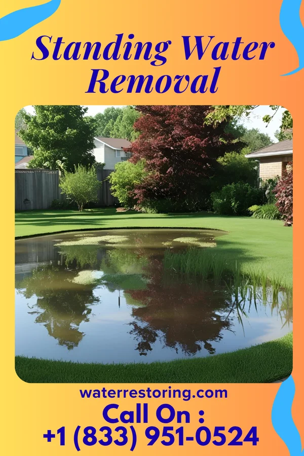 Standing Water Removal in Weston, OH